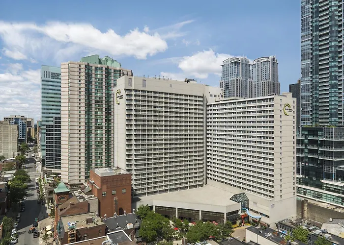 Chelsea Toronto