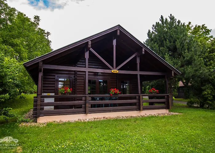 Ping Pong hotel: Petnehazy Aparthotel