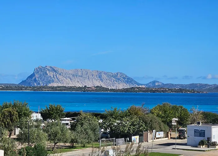 Onda Marina