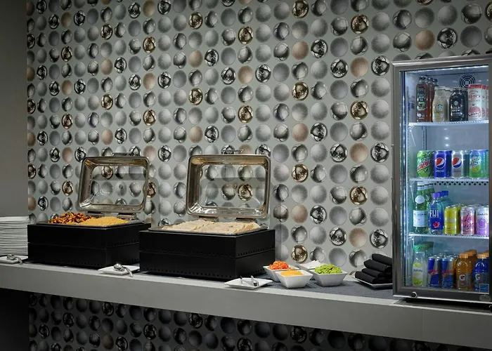 Pet Friendly hotel: Aloft Chicago Mag Mile