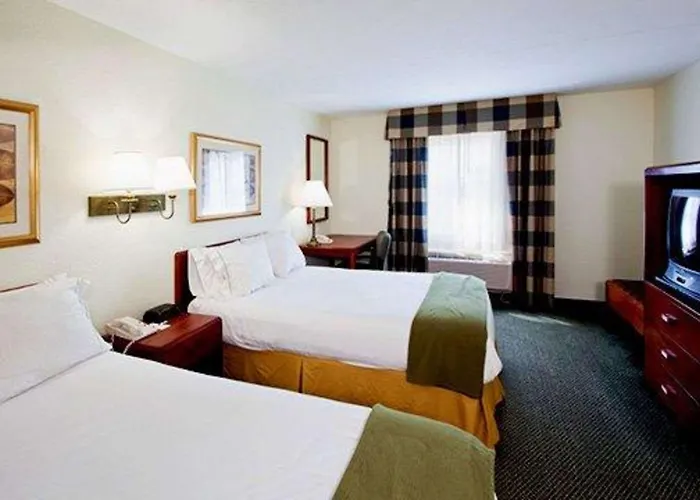 Pet Friendly hotel: Econo Lodge Wesley Chapel I-75