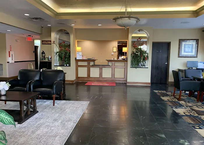 Pet Friendly hotel: Econo Lodge Wesley Chapel I-75