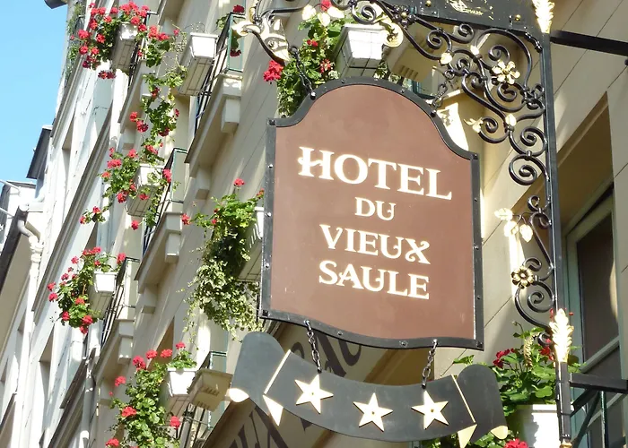 Hotel Du Vieux Saule