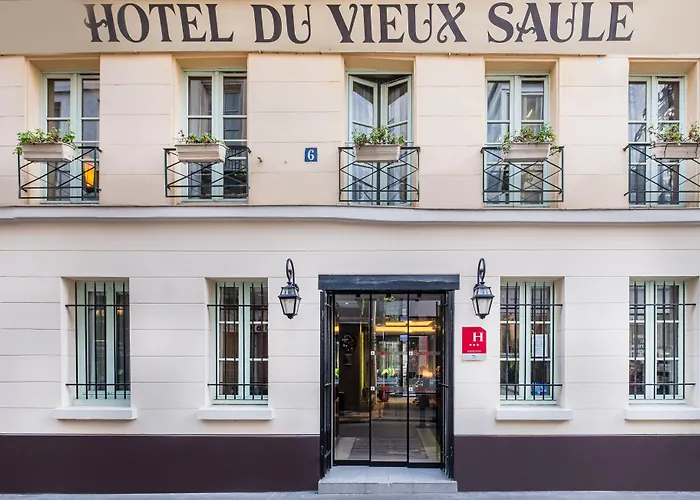 Hotel Du Vieux Saule