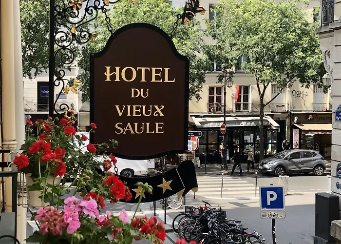 Hotel Du Vieux Saule