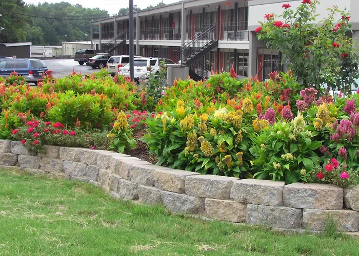 Red Carpet Inn -