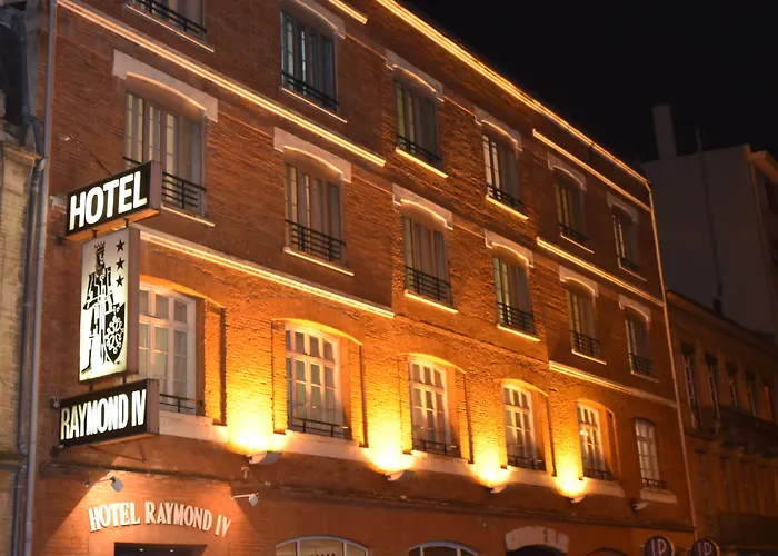 Hôtel accueillant les animaux: Hotel Raymond 4 Toulouse