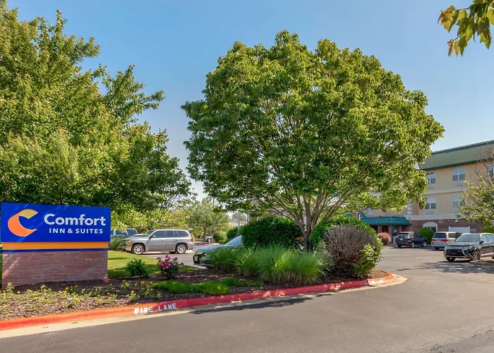 Cheap hotels Comfort Inn & Suites Fayetteville-University Area