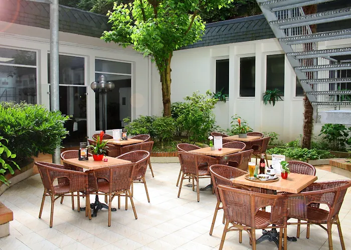 Adonis Lourdes - Notre Dame De La Sarte