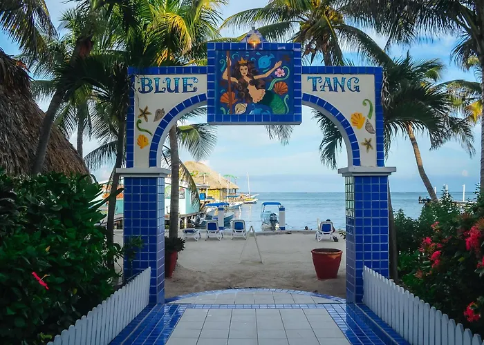 Central hotel: Blue Tang Inn - Beachfront Suites And Pool