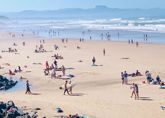 Hotel: Carlina Lodge