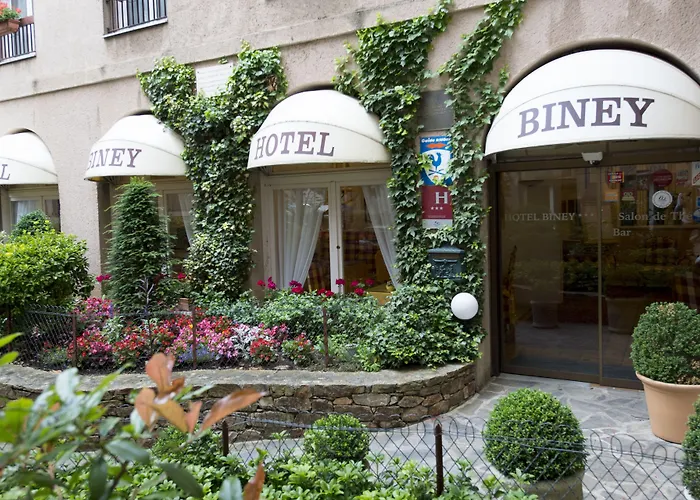 Biney