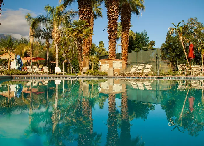 Jacuzzi hotel: The Oasis Resort