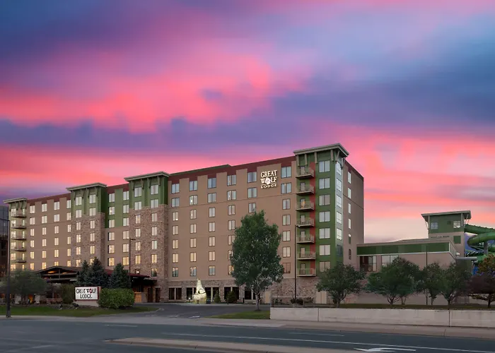 Hotel: Great Wolf Lodge Bloomington
