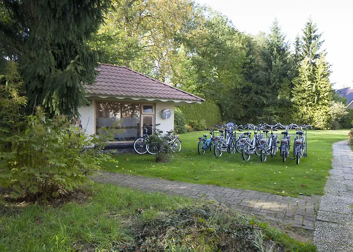 De Grote Zwaan