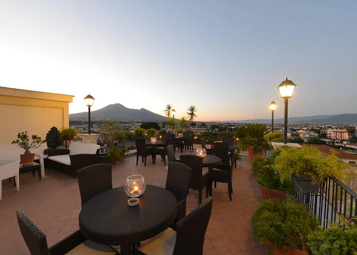 Pets Allowed Hotel Palma