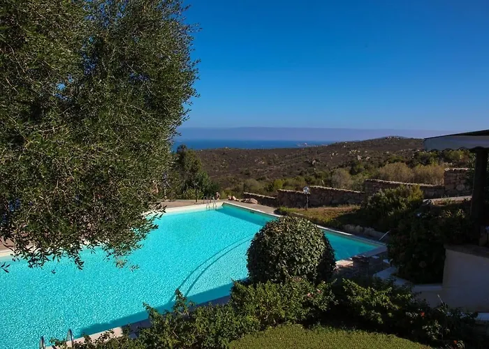 Hotel Ping Pong: Hotel Micalosu