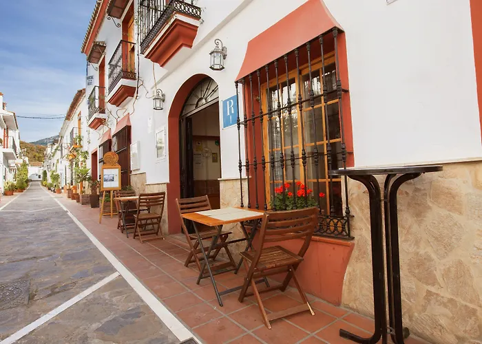 The Hostels El Gallo