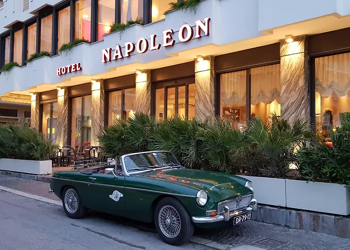  Napoleon