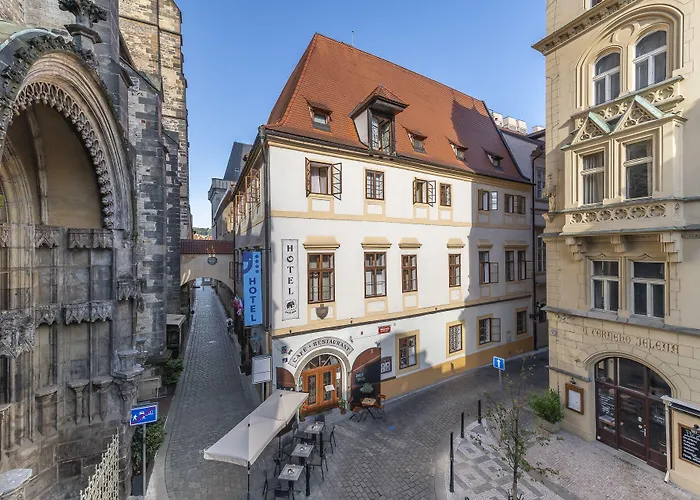 In Luxury hotels Cerny Slon