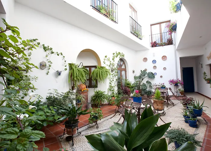 Albergo economico: Hotel San Miguel