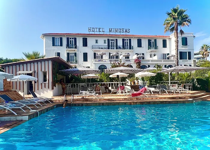 Hotel: Hotel Des Mimosas