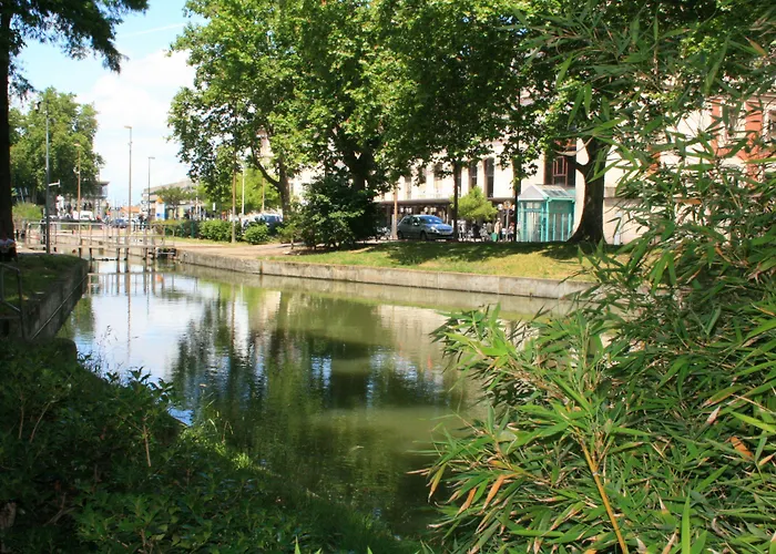 Hôtel accueillant les animaux: Hotel de Bordeaux
