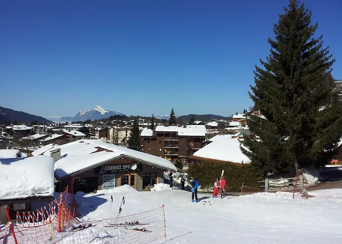 Chalet Les Airelles
