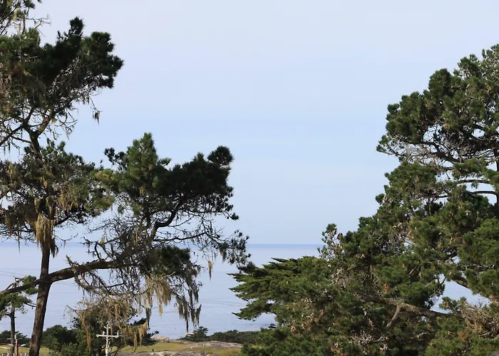 Vacation rental: The Olympia Lodge