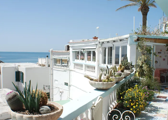 Hotel boutique: Hotel La Palma