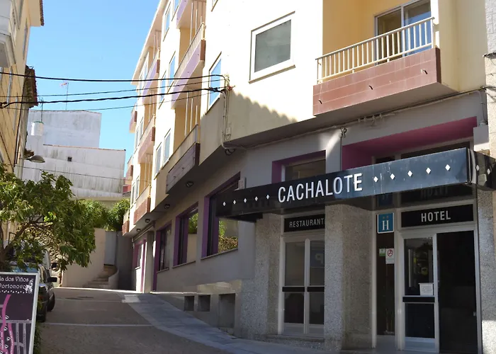  Nuevo Cachalote