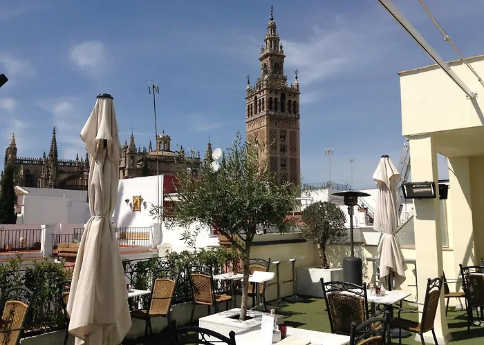 Hôtel accueillant les animaux: Hotel Palacio Alcazar