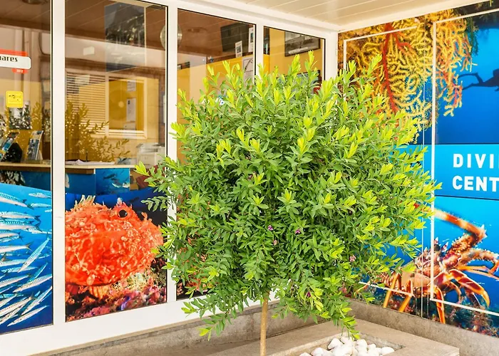 Huisdiervriendelijk hotel: Hotel & Diving Les Illes