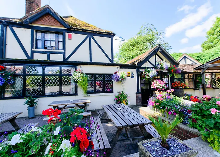 Ye Olde Red Lion