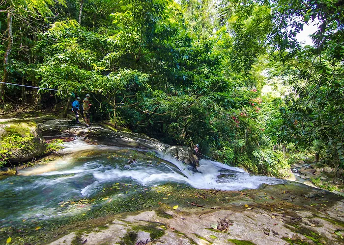 4 star hotel: Bocawina Rainforest Resort