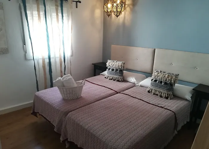 Pet Friendly hotel: Hostal The Monkey Room