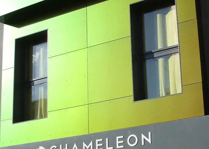 Albergue: Chameleon Youth Hostel Alicante