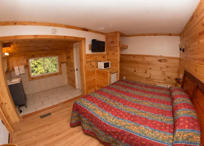 Pet Friendly hotel: King Hendrick Motel And Suites
