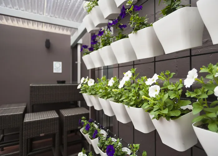 Motel: 315 Euro Motel And Serviced Apartments