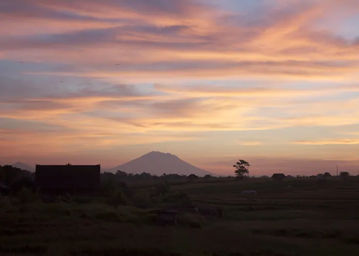 Cheap hotel: Oasis Canggu Bali