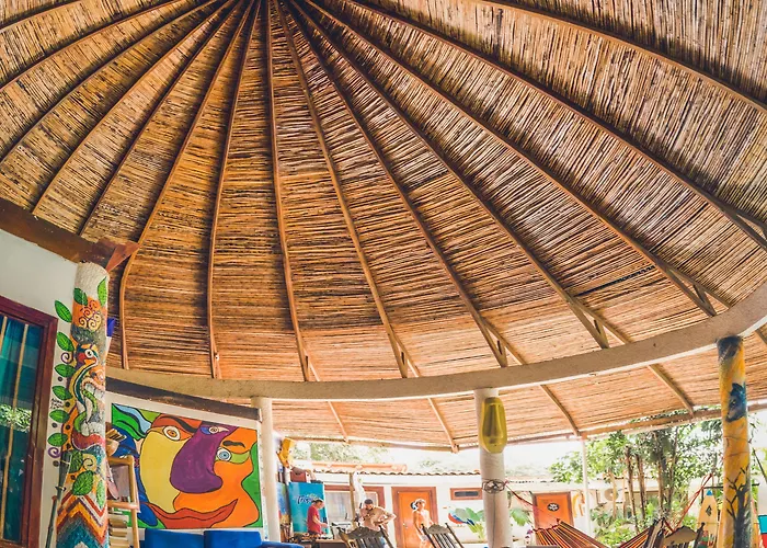 Pura Vida