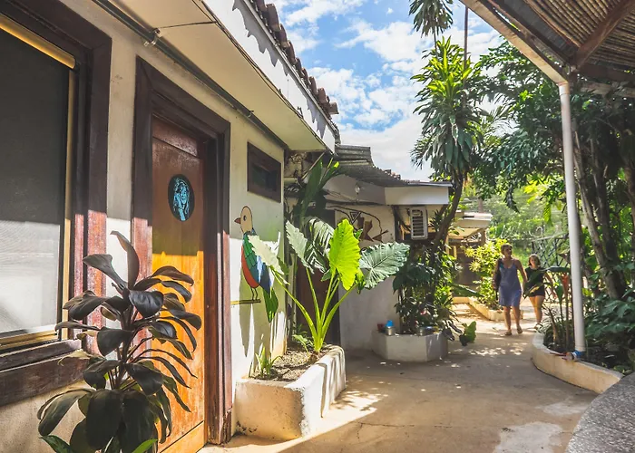 Pura Vida