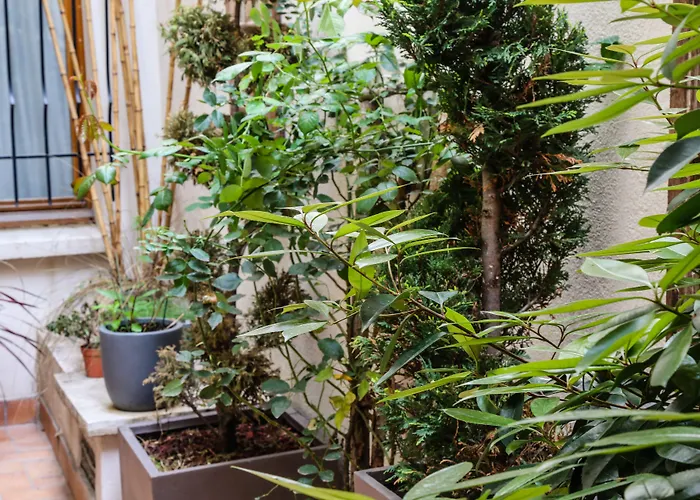 Hotel: Hotel Des Arenes