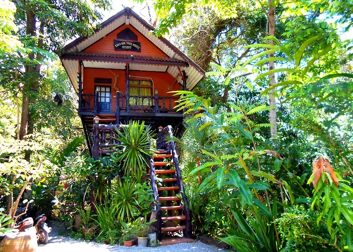 Khao Sok Tree House Resort