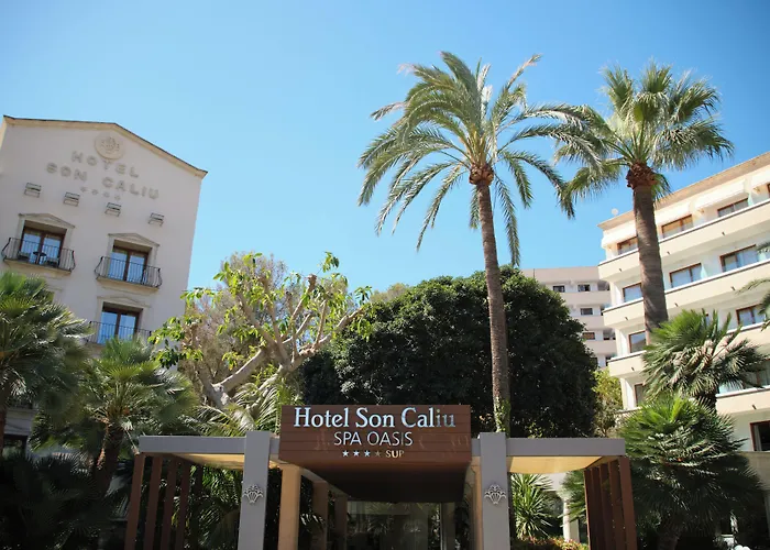 Vakantiehuisje Son Caliu s