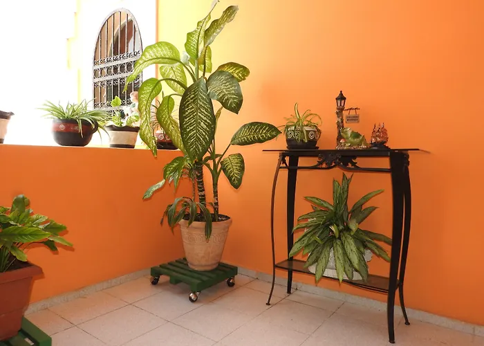 Hotel boutique: Hotel Casa Mallorca