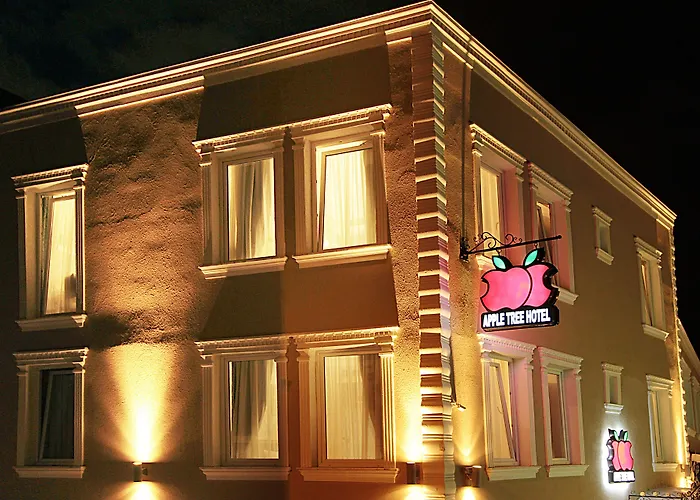 3 sterren hotel: Apple Tree Hotel