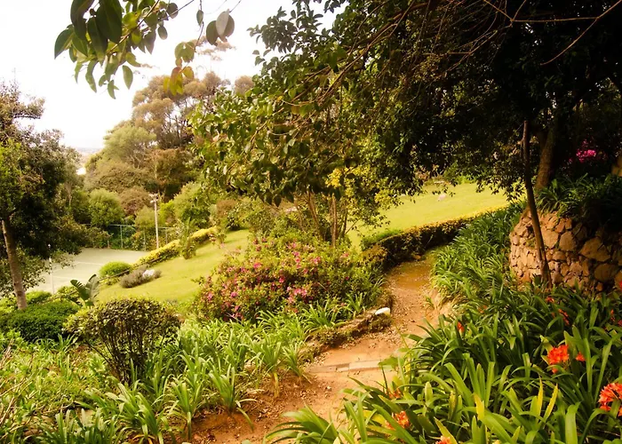 Ikhaya Safari