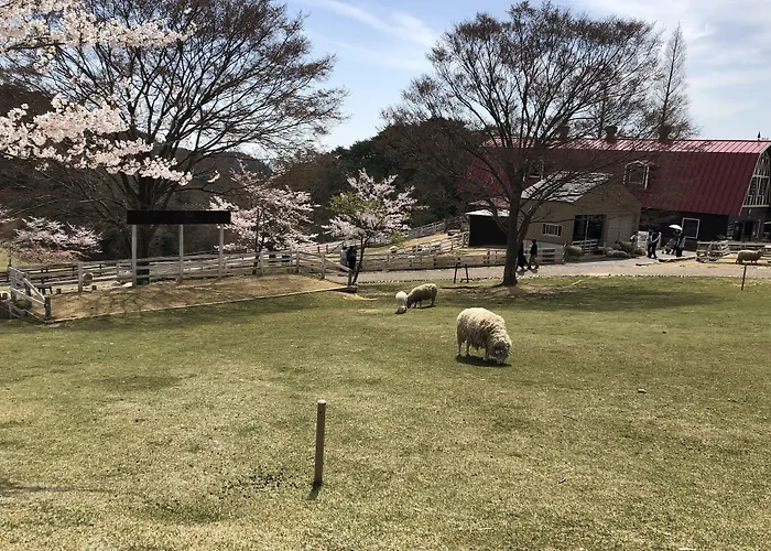 3 star hotel: Smile Hotel Kobe Motomachi