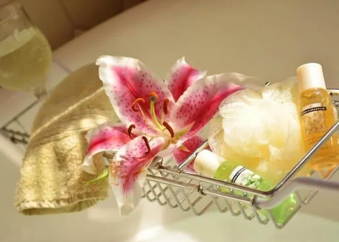 B&B only: Manayunk Chambers Guest House